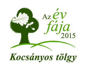 v fja 2015 log