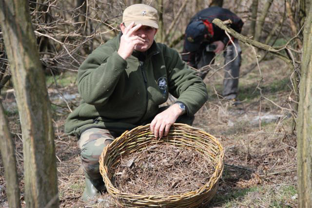 08_bagoly_mufeszek