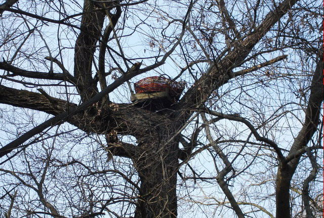 12_bagoly_mufeszek