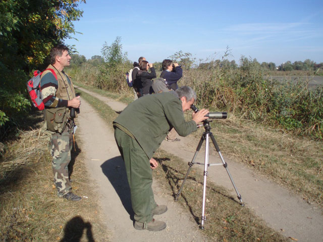 Europai_Madarmegfigyelo_Napok_09