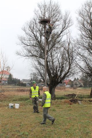 Golyafeszek_karbantartas_076