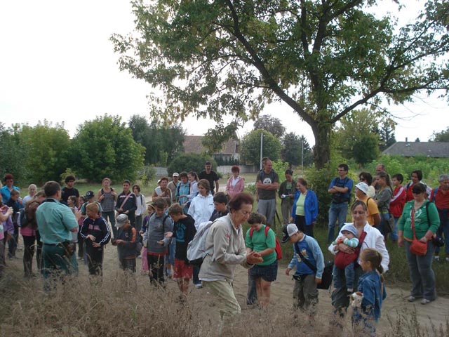 Kikerics_2011_23