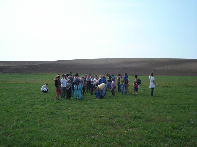 Kikerics_2011_25