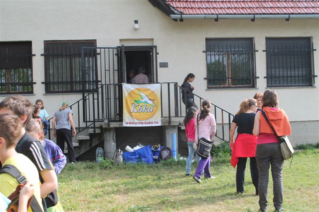 madarak_es_fak_napja_koka_17