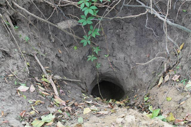 Odutakaritas_Koka_Malomarok_10