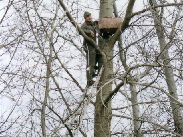 Bagolyodu_felszerelese_Kenderfoldek_2004