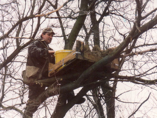 Feszkelolada_ragadozo_madaraknak_2005.