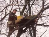 Feszkelolada_ragadozo_madaraknak_2005.
